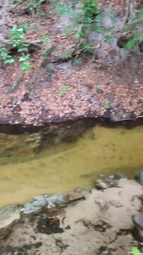 Pitangui Waterfall