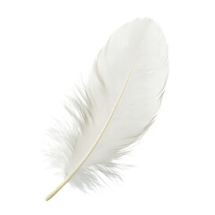 Fototapeta premium Serene white feather floating in the air nature photography calm environment