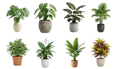 Indoor Plants Collection Diverse Greenery in Pots for Interior Decor
