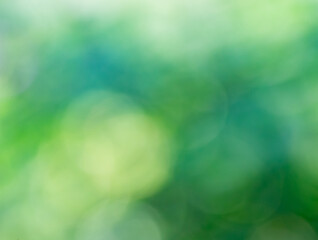 Dreamy green zen bokeh background of various soft color greens for any creative project. Soft...