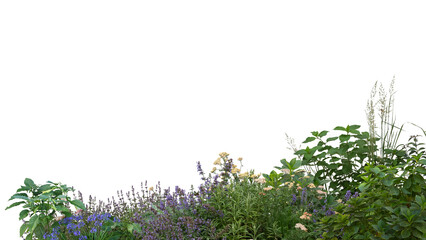 Foreground of green plants and flowers isolated on transparent background