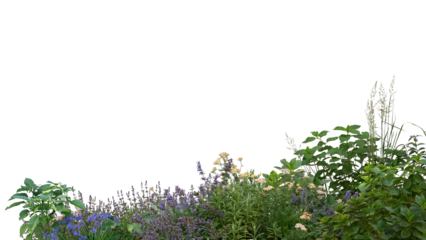 Foreground of green plants and flowers isolated on transparent background