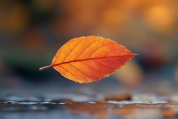 Obraz premium A single autumn leaf caught perfectly mid-air by a spinning top, dynamic motion blur, rich warm tones, cinematic shallow depth of field