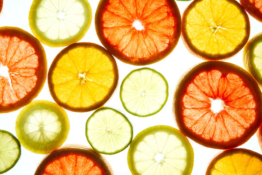 Vibrant Slices of Citrus Fruits in Bright Light