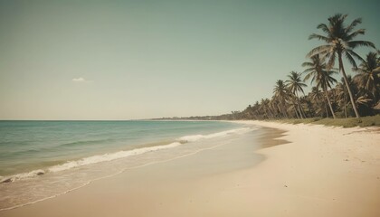 Tropical beach with palm trees and ocean waves under a sunny sky