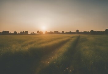 summer sunrise sunny countryside day fields scene hill horizon beautiful green nature sky rolling cartoon rural sunlight landscape field sun meadow sunshine illustration yellow blue agriculture