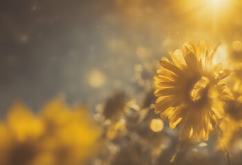 sun background yellow bursts vector burst illustration star sky shine sunrise explosion glow summer sunlight bright hot light sunny design ray warm sunshine sunset orange