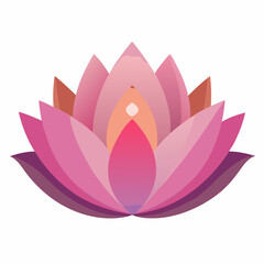 pink lotus flower
