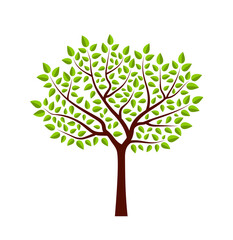tree isolated on white background