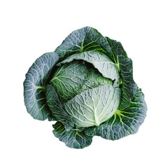 Obraz premium Fresh green cabbage viewed from above against a clean white background for culinary purposes, Cabbage vegetable food ingridient White background