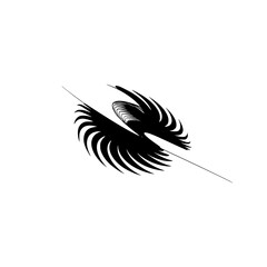 Obraz premium Abstract Black Feathered Form on Grey Background
