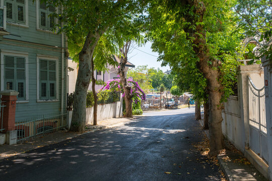 Charming street view in Buyukada, Adalar, one of prince islands in Istanbul. Quiet road lined residential street with trees and quaint houses on a sunny day