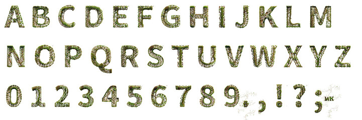 An entire English alphabet set with moss and root texture from A to Z along with numbers and punctuation, set against transparency for versatile use