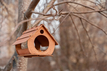 Birdhouses bird houses on a branch in spring