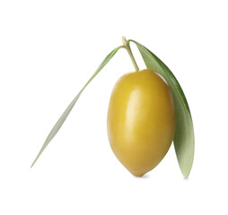 Ripe raw green olive with leaves on white background