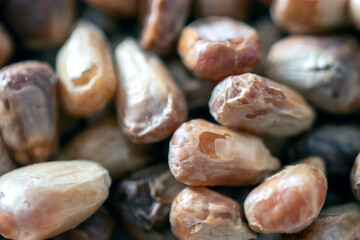 roasted corn kernels. macro. close up. background.