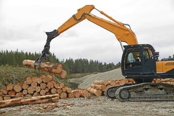 Heavy machinery in action moving timber in a forest area