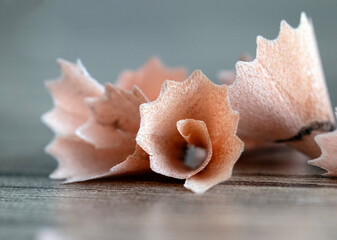 pencil stick sharpened with pencil sharpener