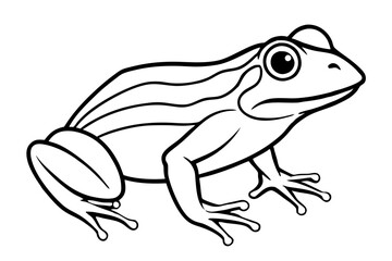 frog silhouette line art vector illustration with a white background