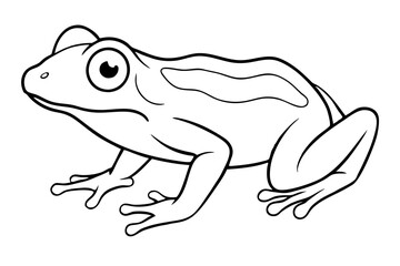 frog silhouette line art vector illustration with a white background