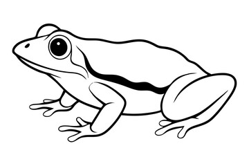 frog silhouette line art vector illustration with a white background