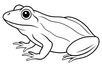 frog silhouette line art vector illustration with a white background