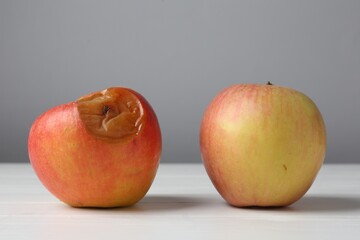 Rotten apples on white wooden table against grey background, closeup