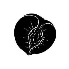 Silhouette, stamp fruit peach, nectarine. Vector graphics.