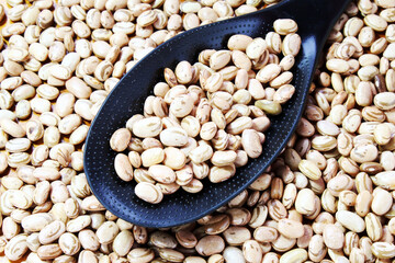 Typical grain present in brazilian culinary. Pinto beans in plastic spoon. 
