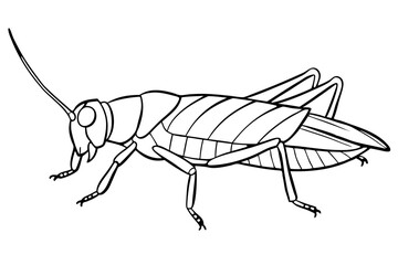 grasshopper silhouette line art vector illustration with a white background