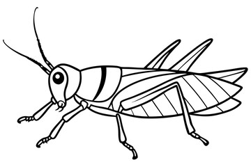 grasshopper silhouette line art vector illustration with a white background