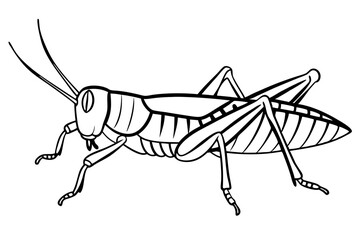 grasshopper silhouette line art vector illustration with a white background
