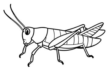 grasshopper silhouette line art vector illustration with a white background