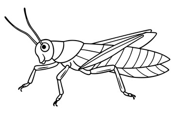 grasshopper silhouette line art vector illustration with a white background