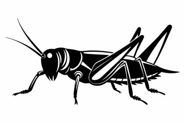 grasshopper silhouette line art vector illustration with a white background