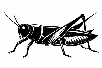 grasshopper silhouette line art vector illustration with a white background