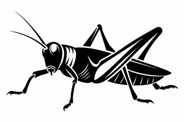 grasshopper silhouette line art vector illustration with a white background