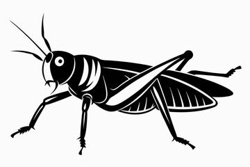 grasshopper silhouette line art vector illustration with a white background