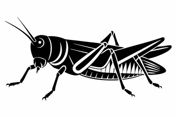 grasshopper silhouette line art vector illustration with a white background