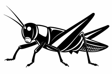grasshopper silhouette line art vector illustration with a white background
