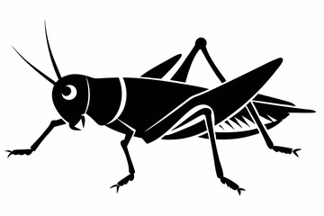 grasshopper silhouette line art vector illustration with a white background