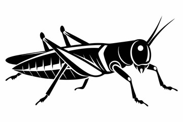 grasshopper silhouette line art vector illustration with a white background