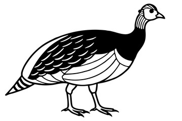 guineafowl silhouette line art vector illustration with a white background