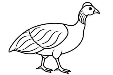 guineafowl silhouette line art vector illustration with a white background