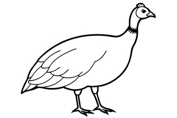 guineafowl silhouette line art vector illustration with a white background