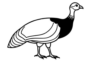 guineafowl silhouette line art vector illustration with a white background