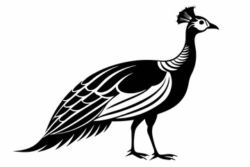 guineafowl silhouette line art vector illustration with a white background