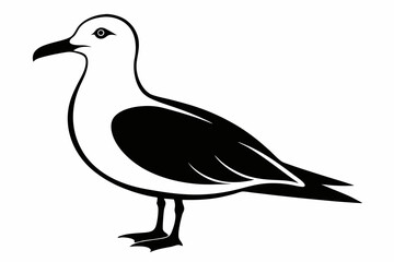 Obraz premium gull silhouette line art vector illustration with a white background