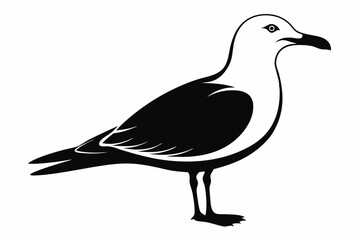 gull silhouette line art vector illustration with a white background