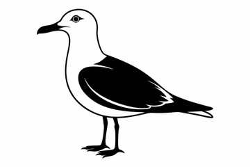 Obraz premium gull silhouette line art vector illustration with a white background